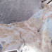 Балка задняя Toyota RAV4 IV (XA40)