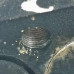 ГБЦ Volkswagen Passat b2, Audi 100 c3 2.2i, дефекты