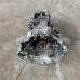 МКПП CDX 2.6i 2.8i Audi 100 C4, Audi A6 C4