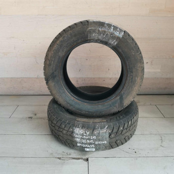 Шина hifly Win-turi 215 195/65 r15