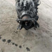 Мкпп BMW E39