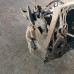 МКПП Renault logan I, lada largus, Renault dacia
