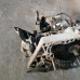 МКПП Renault logan I, lada largus, Renault dacia