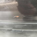 Дверь передняя левая Volkswagen Passat B5, Volkswagen Passat B5 GP