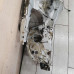 Лонжерон передний правый Volkswagen Passat B4