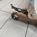 Балка задняя Volkswagen Passat B3, Volkswagen Passat B4