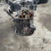 Двигатель Renault Fluence I K4MV838 Двигатель Renault Fluence I K4MV838