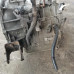 АКПП Kia Ceed I