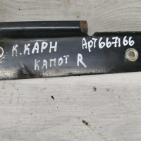 Петля капота правая Kia Carnival I рестайлинг Петля капота правая Kia Carnival I рестайлинг