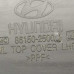 Декоративная накладка жабо дождевик водоотводящий щиток левый Hyundai accent II 