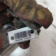 Лонжерон передний правый Volkswagen Passat b6 Лонжерон передний правый Volkswagen Passat b6