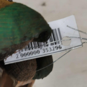 Радиатор гидроусилителя SsangYong Rexton II Радиатор гидроусилителя SsangYong Rexton II