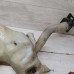 Бачок омывателя Peugeot 307 