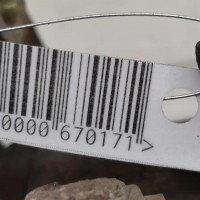 Суппорт задний правый Volkswagen Golf 4, Skoda Octavia I (A4), Volkswagen Суппорт задний правый Volkswagen Golf 4, Skoda Octavia I (A4), Volkswagen