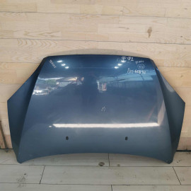 Капот Ford Focus 2 дорестайлинг