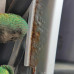 Дверь задняя левая Nissan Tiida I