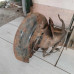 Балка задняя Nissan Primera P12 Балка задняя Nissan Primera P12