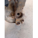 Кулак поворотный правый Skoda Superb Volkswagen Passat B5 Passat B5 GP Audi A4 B5 A6 C5 