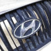 Решетка радиатора Hyundai Sonata 4 (EF)